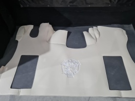 TAPETE SCANIA S