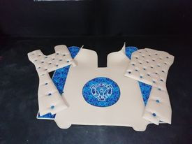 SCANIA R STREAMLINE CAPITONE / DANISH MATS - Img 2
