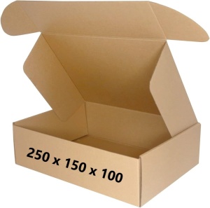 100 buc Cutie carton NATUR 250 x 150 x 100 mm
