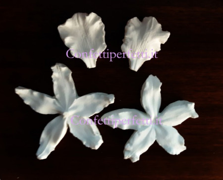 Orchidea Odontoglossum. 4 Venatori in silicone