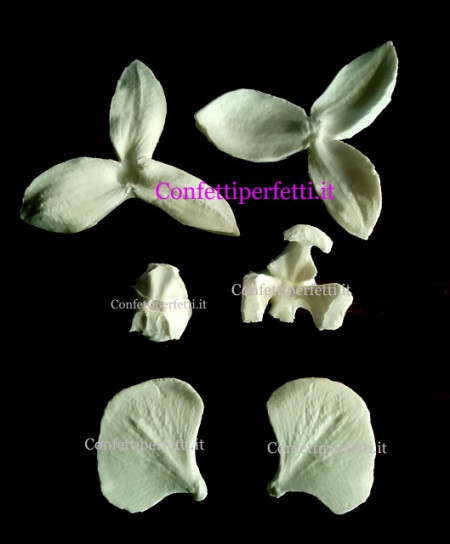 Orchidea 8 cm con Centrale. 6 Venatori in silicone