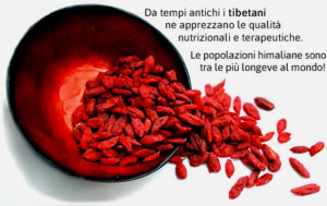 Bacche di Goji 