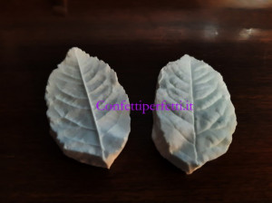 Foglie di Rosa Briar o Rubignosa Venatori in silicone 