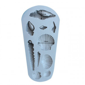 Conchiglie di mare
