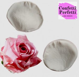 Petalo Rosa  stampo in silicone 