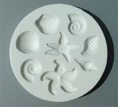  Conchiglie Onde e stella marina mare