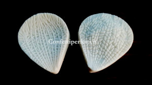 Petali Orchidea stampo