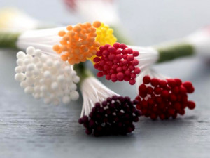 50 Pistilli per il cake design