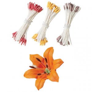 Pistilli per Fiori colorati. - Img 2