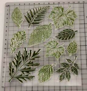Farfalle trasferibili