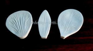 Venatore orchidea