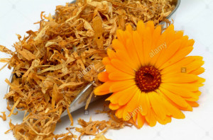 Petali di fiori di Calendula essiccati