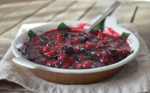 Purea di Frutti di Bosco 