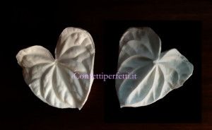 Anturio. Venatore e stampo in silicone 