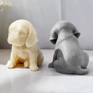 Labrador cane candele