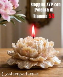 53 POTENZA DI FIAMMA Stoppini AVP x Stampi e Cont. diametro da 8 a 9 cm. Lunghezza da 8-10-12-14-16-20 cm per Candele professionali