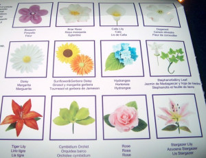 Confezione di 29 Stampi per realizzare splendidi fiori e petali. - Img 4