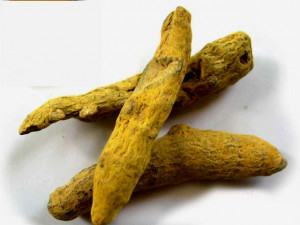 Curcuma radice intera - India. Spezia. 50 gr.