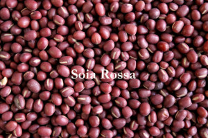 Fagioli Azuchi Rossi - Soia Rossa. Spezia. 250 gr