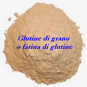 Glutine di grano o farina di glutine.