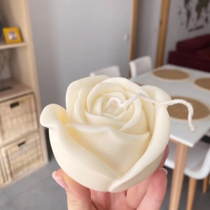 Stampo silicone rosa per Candele e Saponi
