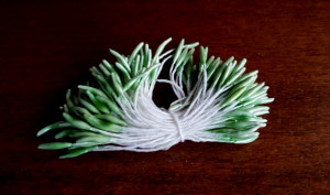 Pistilli lunghi per fiori Verdi.