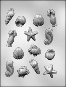 Stampo Mare e Conchiglie in policarbonato flessibile.
