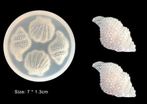 Conchiglia di Mare