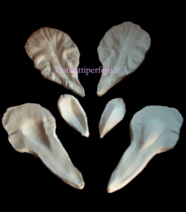 Stampo Iris Barbuto