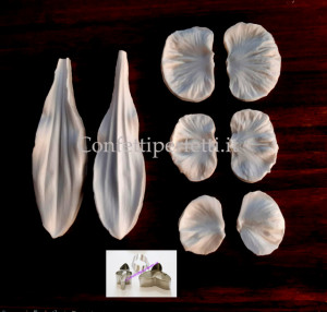 stampo orchidea