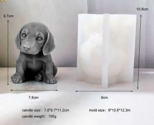 Labrador cane 