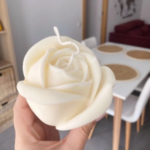 Stampo silicone rosa per Candele e Saponi