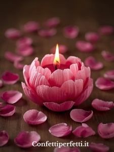 Peonia Rosa. Fragranza Per Candele