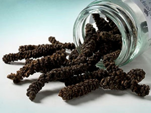 Pepe Lungo o Pepe del Bengala. 10 gr.