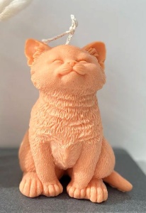  Gatto Candele