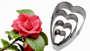 Camelia Cutter in metallo per il cake design