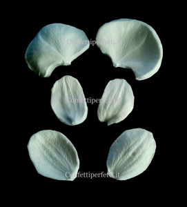 Petali Orchidea Phalaenopsis Moth. 6 Venatori in silicone SK
