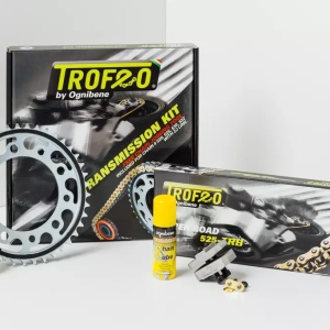 KIT TRASMISSIONE CATENA CORONA PIGNONE TROFEO HONDA HORNET 600 RAPPORTI MODIFICA