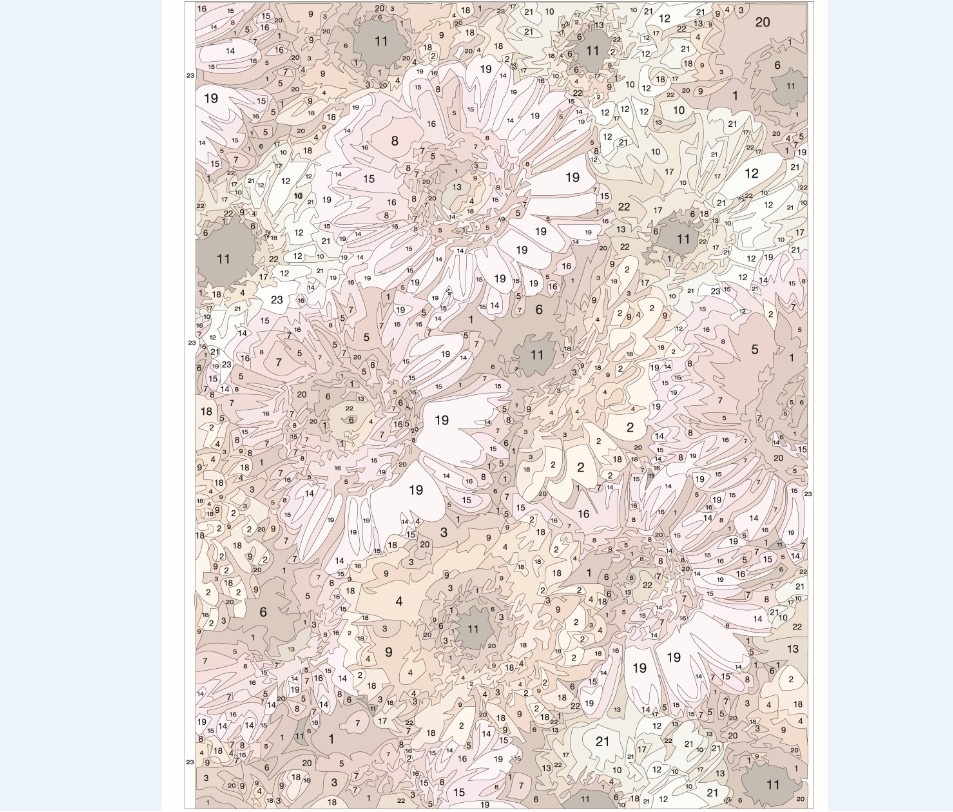 Tablou 903 Picteaza Dupa Numere, Crizanteme Pastelate, 40x50 cm - 2 | YEO