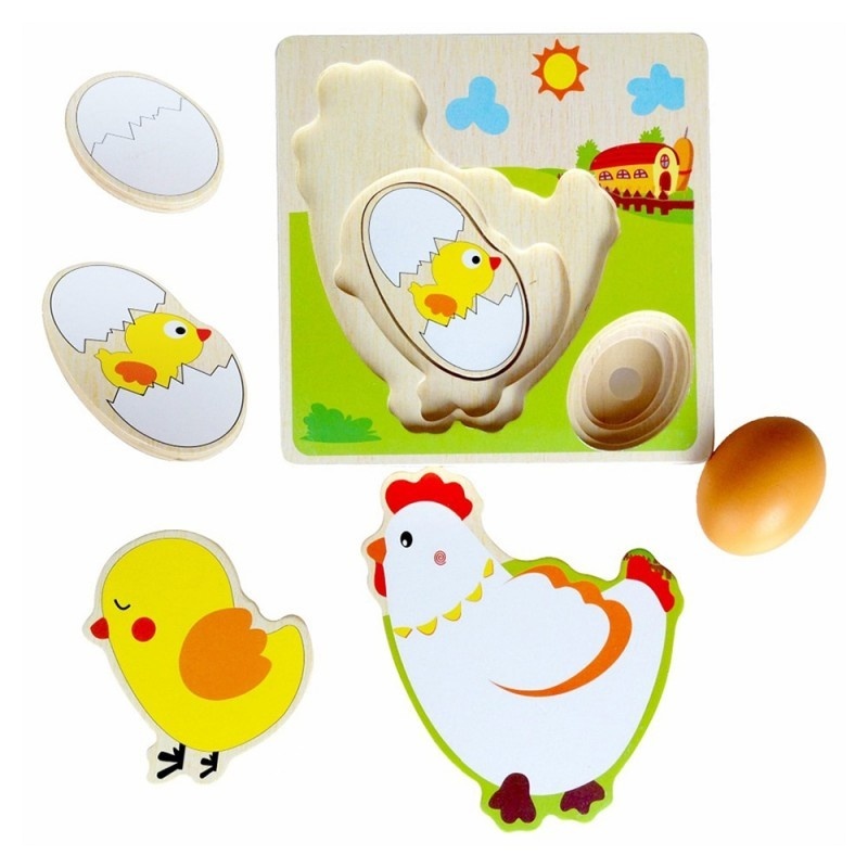 Puzzle incastru stratificat Ciclul Vietii Gainii - 2 | YEO