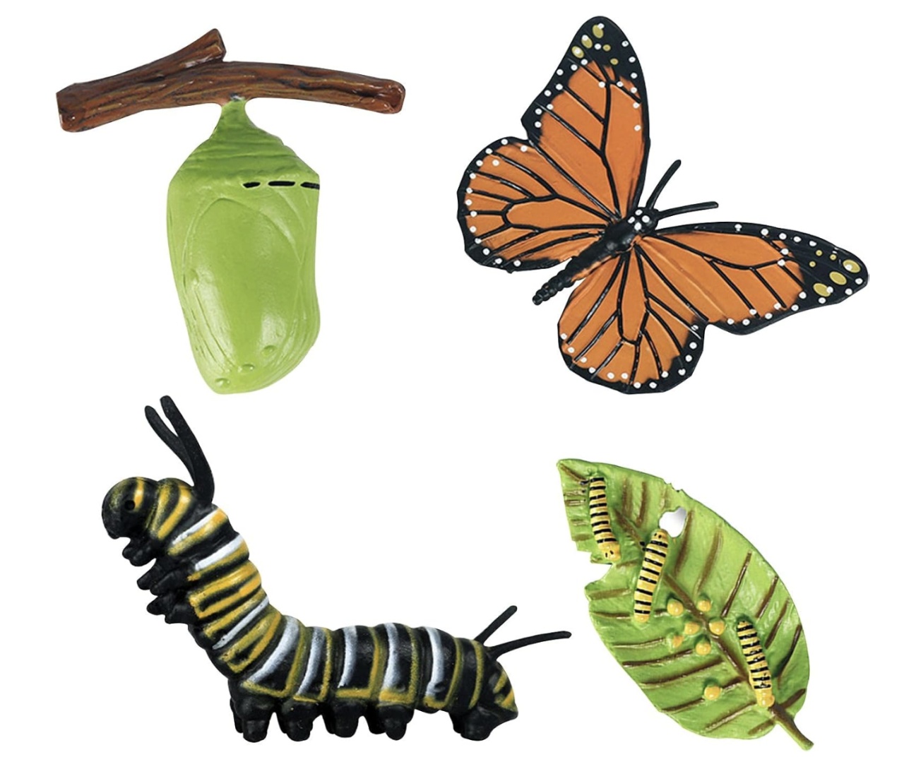 Set 4 Piese Ciclul Vietii Fluture - Figurine Educationale si Decorative - 2 | YEO