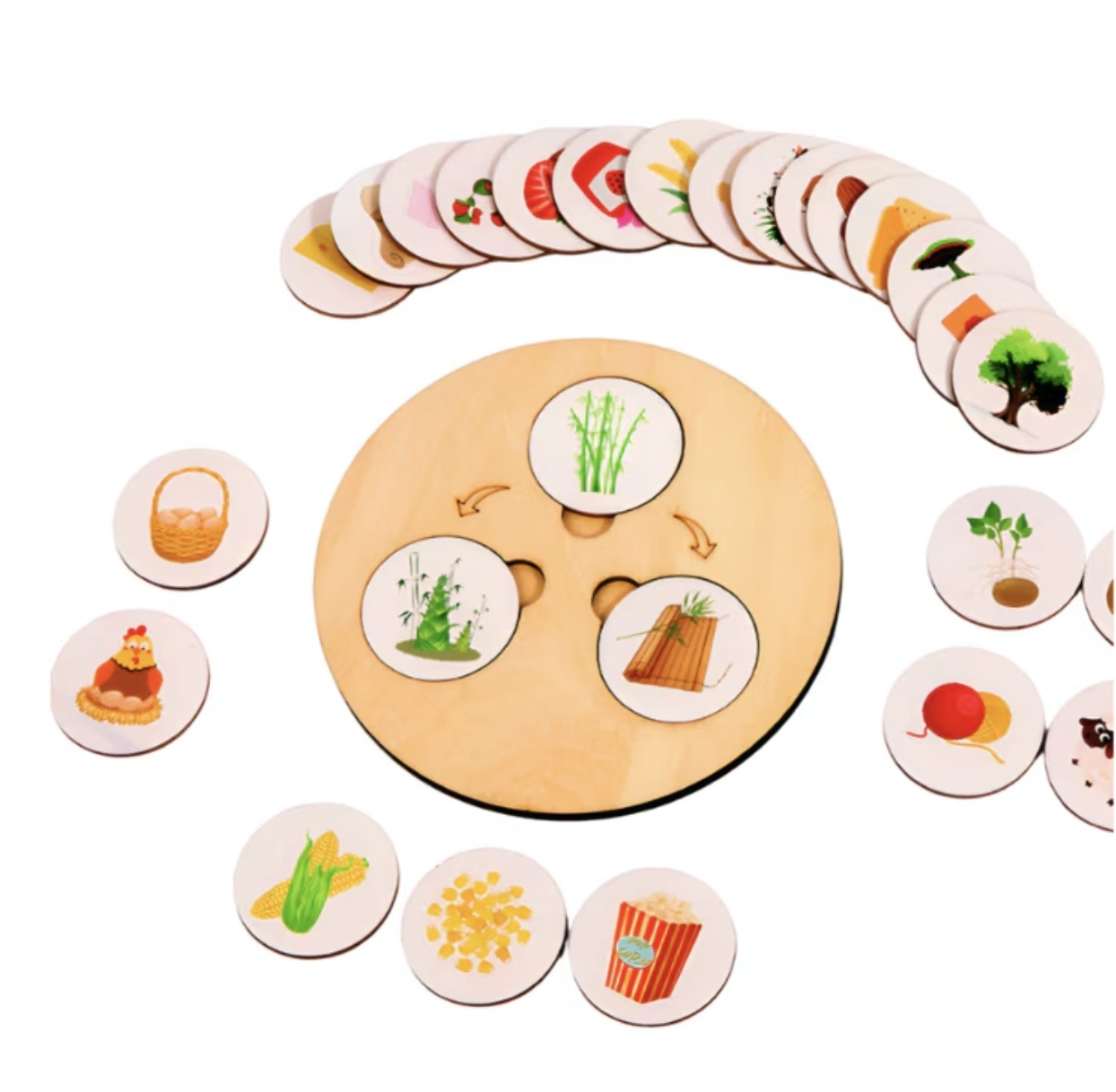 Joc Montessori Decomposing Game, Etapele Vietii, din Lemn - 1 | YEO