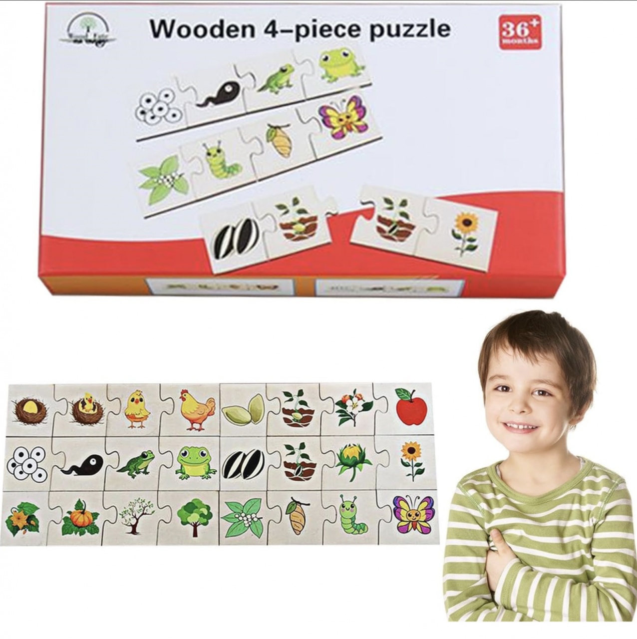Puzzle de Asociere cu Animale si evolutia lor, 24 Piese - 1 | YEO