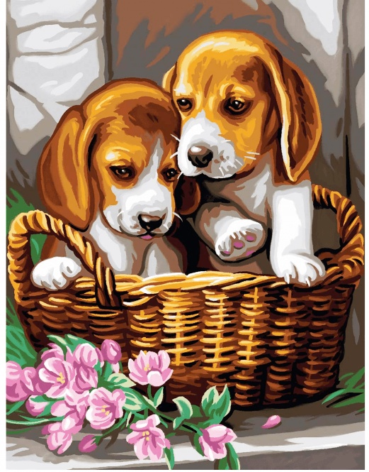 Tablou PM604 Picteaza dupa numere, Cosulet cu doi catei, 20 x 30 cm