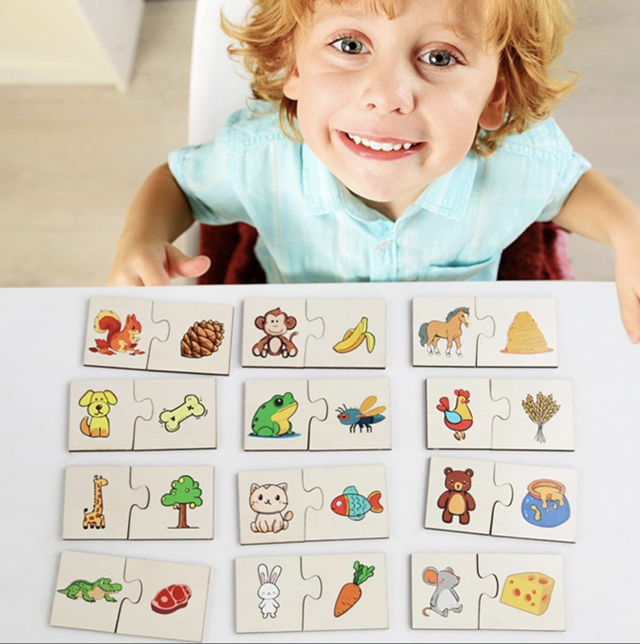 Puzzle de Asociere cu Animale si evolutia lor, 24 Piese - 2 | YEO
