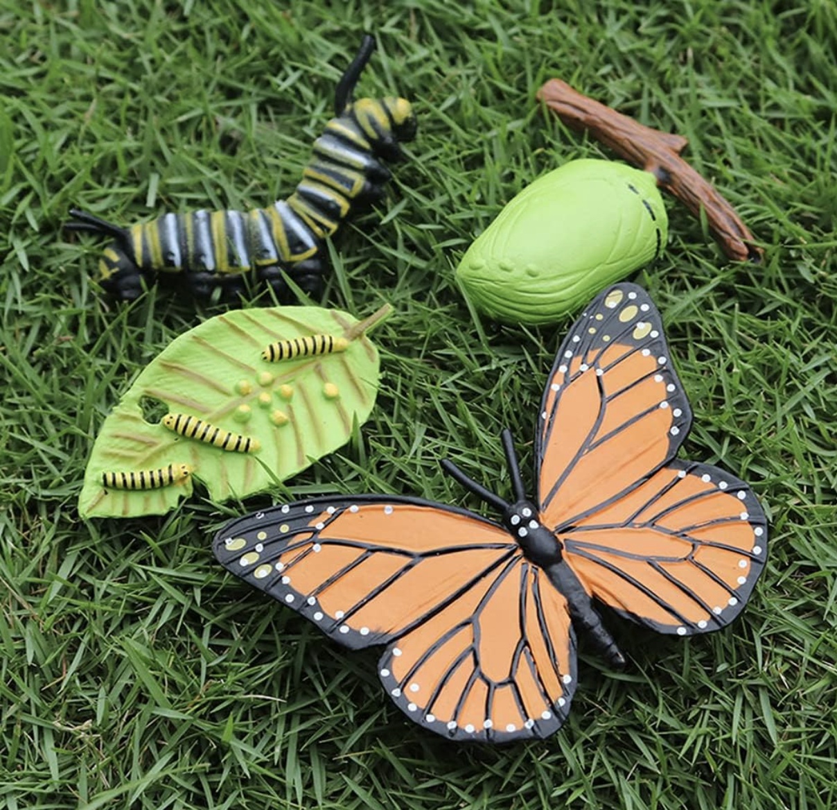 Set 4 Piese Ciclul Vietii Fluture - Figurine Educationale si Decorative - 3 | YEO