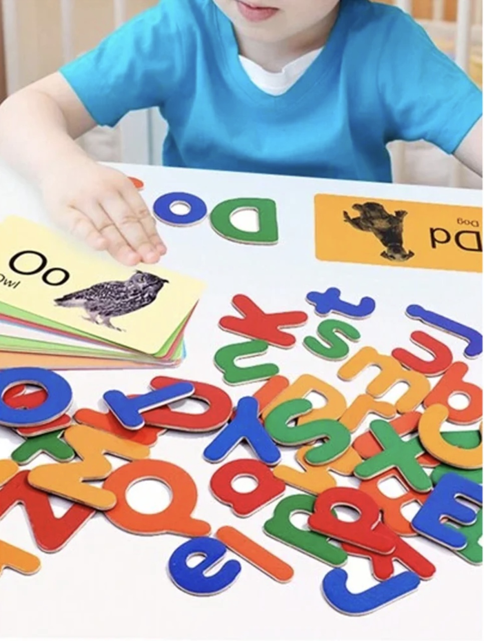 Joc educational cu carduri magnetice - Alfabetar - 4 | YEO
