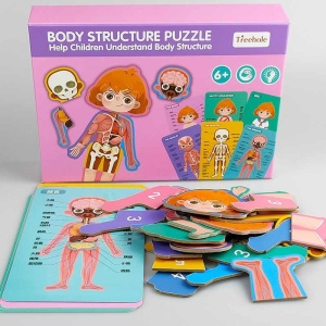 Puzzle din lemn sistemele Corpului uman - Fetita - Img 3