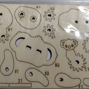 Macheta 3D din lemn Ursuletul Koala, 22 piese cu sistem de roti zimtate - Img 2