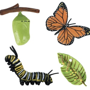 Set 4 Piese Ciclul Vietii Fluture - Figurine Educationale si Decorative - Img 3